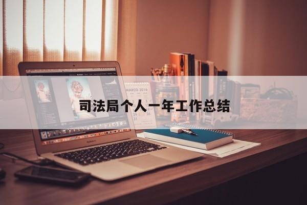 司法局个人一年工作总结