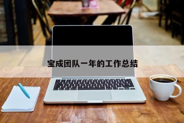 宝成团队一年的工作总结