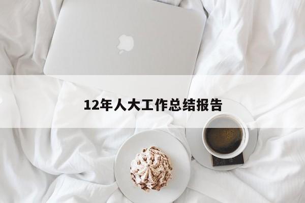12年人大工作总结报告