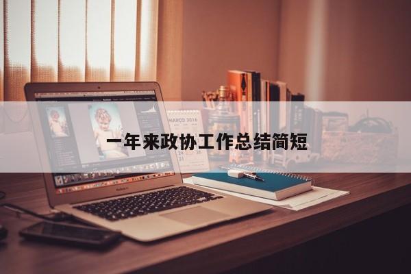 一年来政协工作总结简短