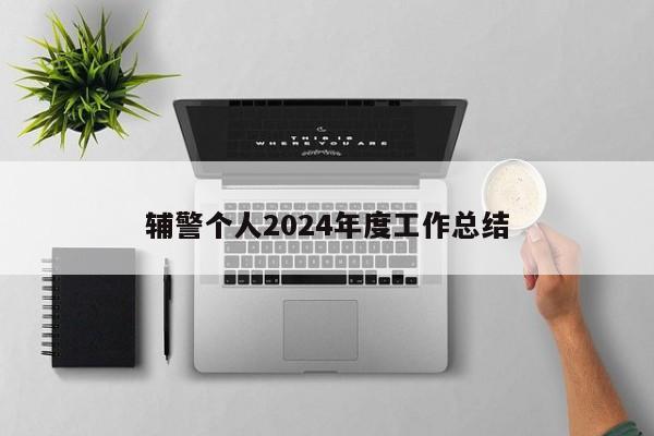 辅警个人2024年度工作总结