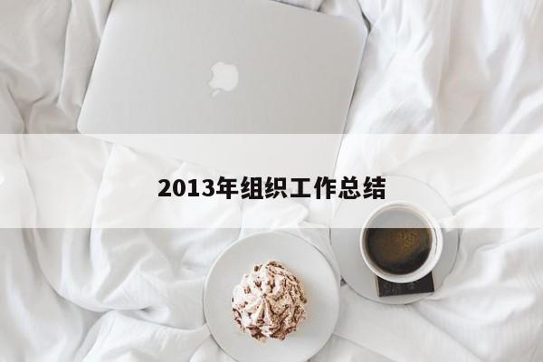 2013年组织工作总结